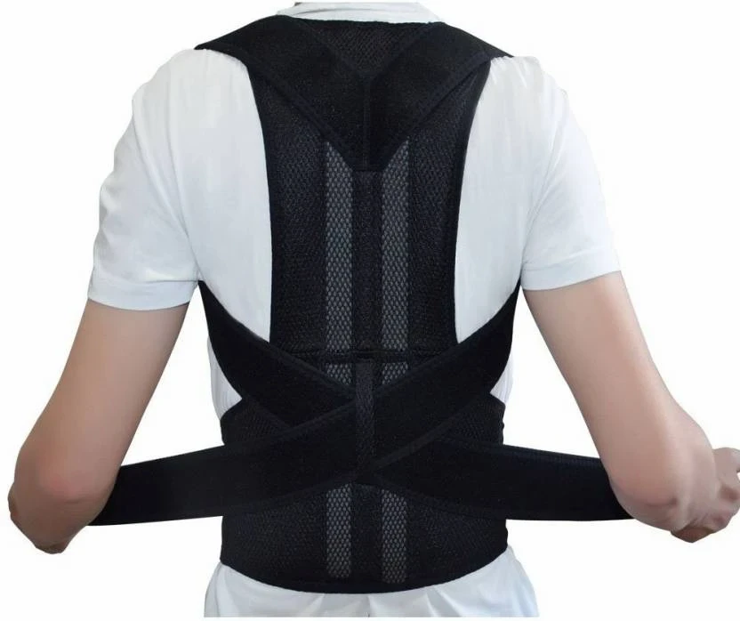 Back Support Belt