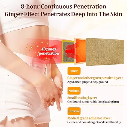 Ginger Harbal Pain Remover Patch